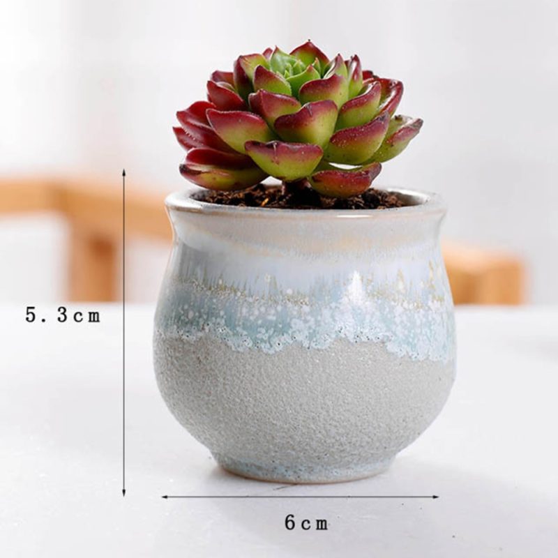 Ceramic Mini Plant Pots (6 Pcs) - Image 3