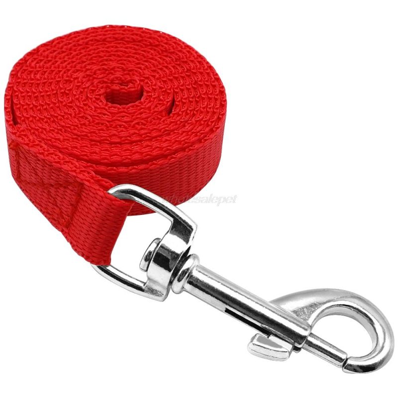 Breathable Mesh Small Dog Harness - Image 4