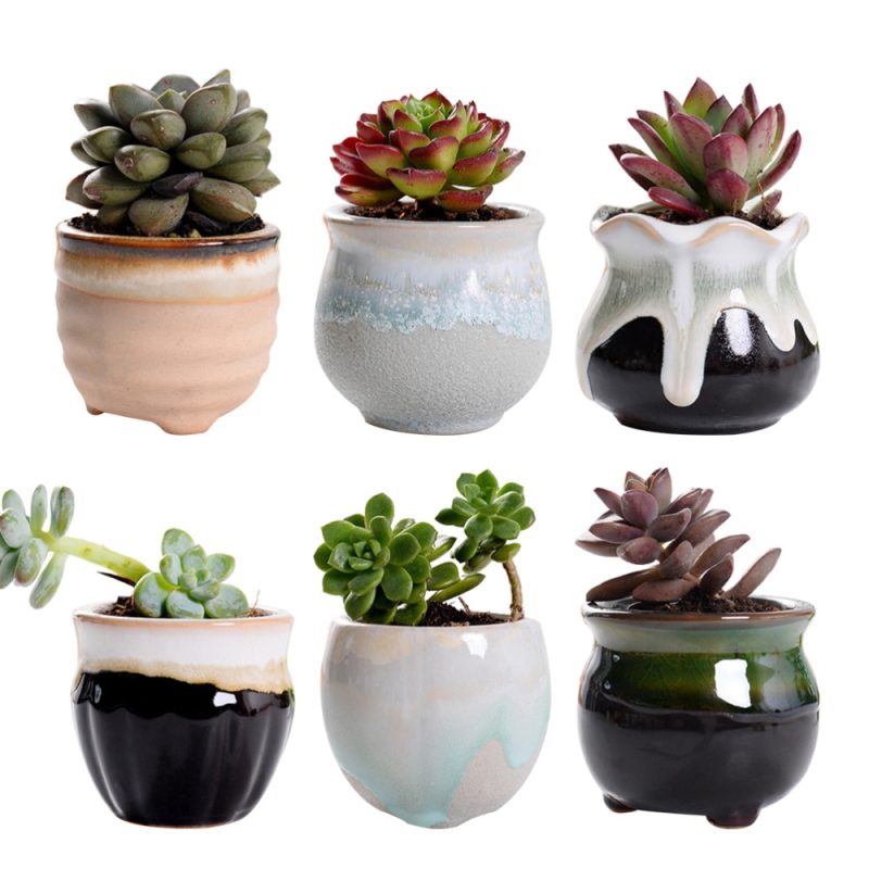 Ceramic Mini Plant Pots (6 Pcs) - Image 6