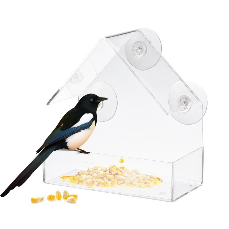 Bird Feeder Transparent Glass Sucker - Image 5