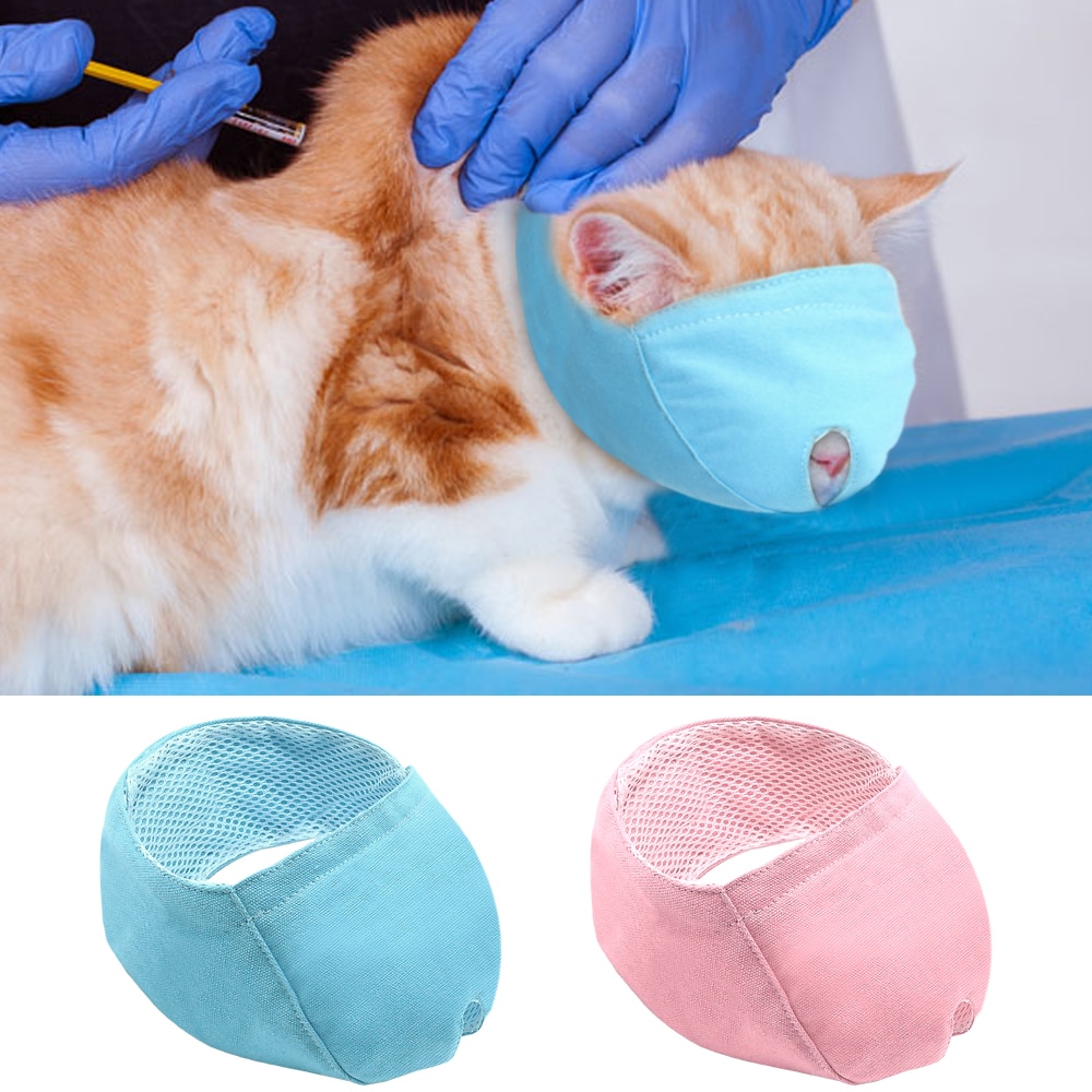 Cat Muzzle Breathable Pet Accessory - Image 6