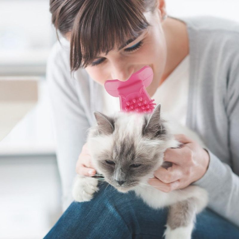 Cat Tongue Brush Grooming Tool - Image 3