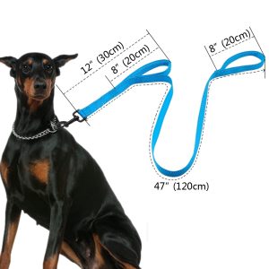2-in-1 Reflective Nylon Harness And Leash