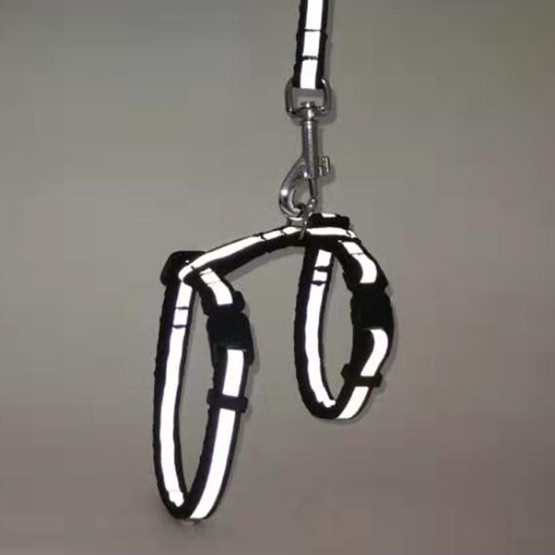 Cat Harness And Leash Set - Image 2