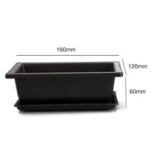 Bonsai Pot Plastic Plant Box