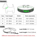 Dog Collar and Leash Set