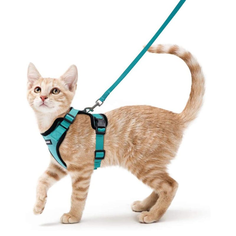 Cat Vest Harness And Leash Set - Image 2
