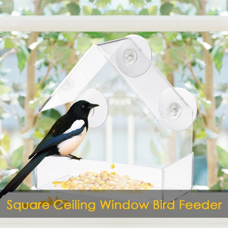 Bird Feeder Transparent Glass Sucker - Image 4