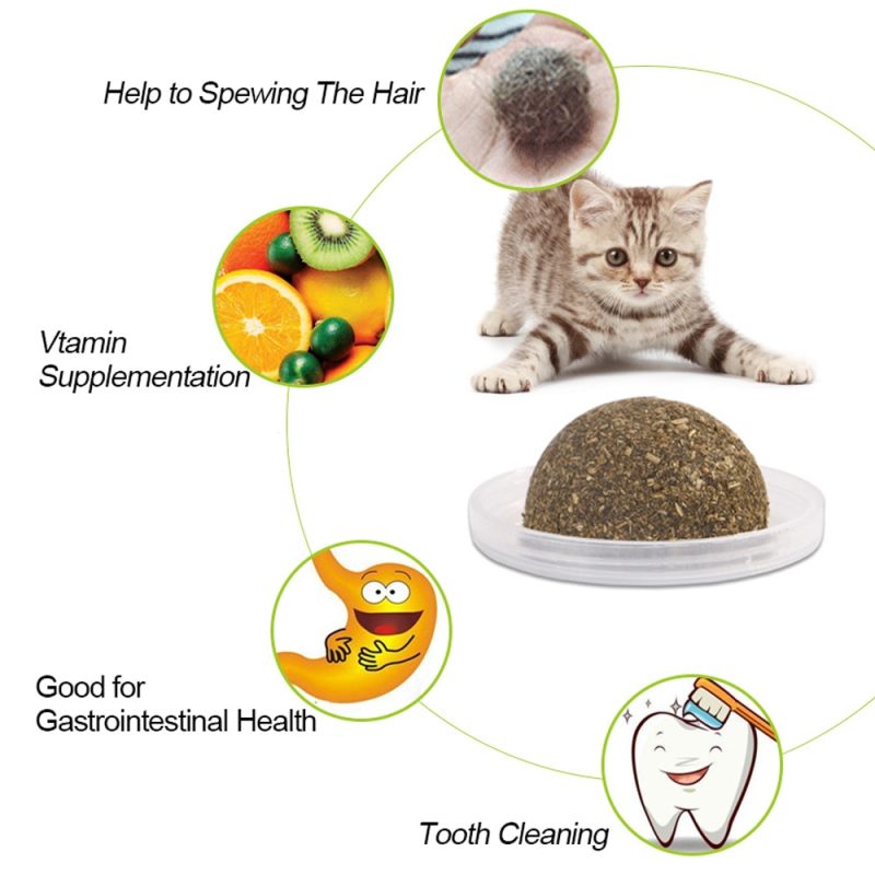Cat Treat Healthy Catnip Balls - Image 4