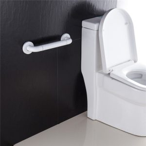 Bathroom Handrail Wall-Mount Fixture