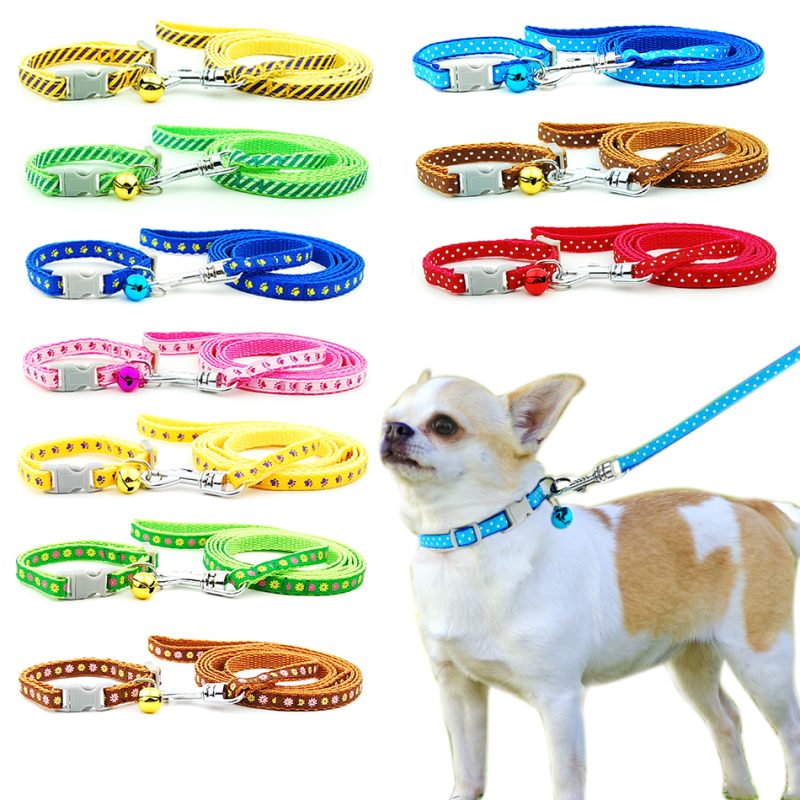 Collar and Leash for Small Pets - Image 6