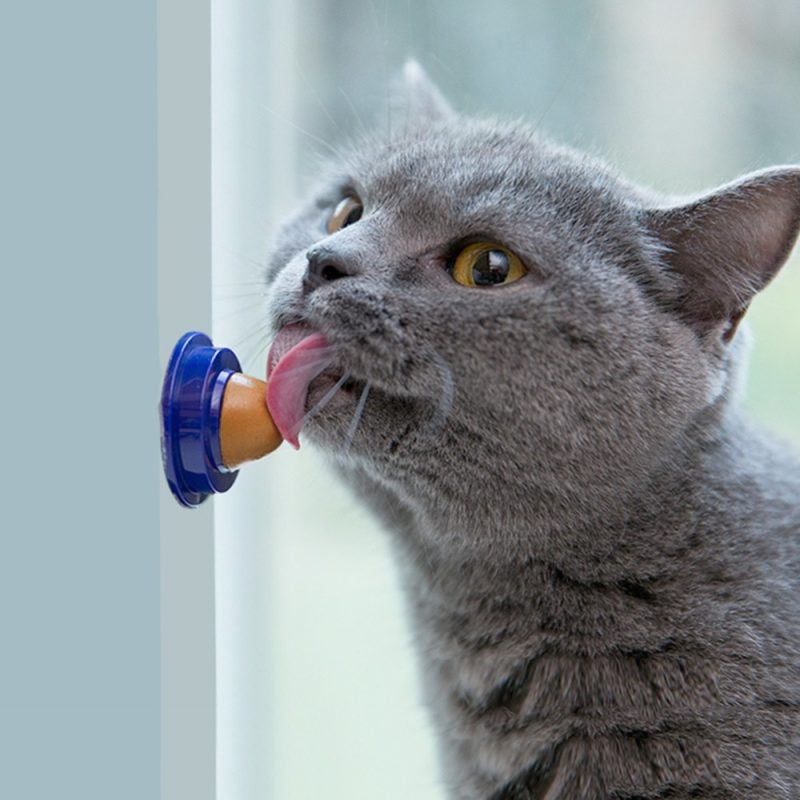 Cat Candy Cat Vitamins Sugar Ball - Image 5