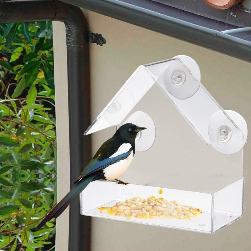 Bird Feeder Transparent Glass Sucker - Image 3