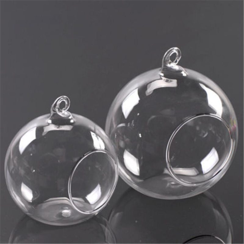 Clear Hanging Air Plant Vase - Image 6