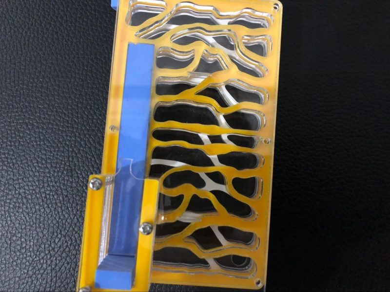 Ant Farm Nesting Box for Insects - Image 4