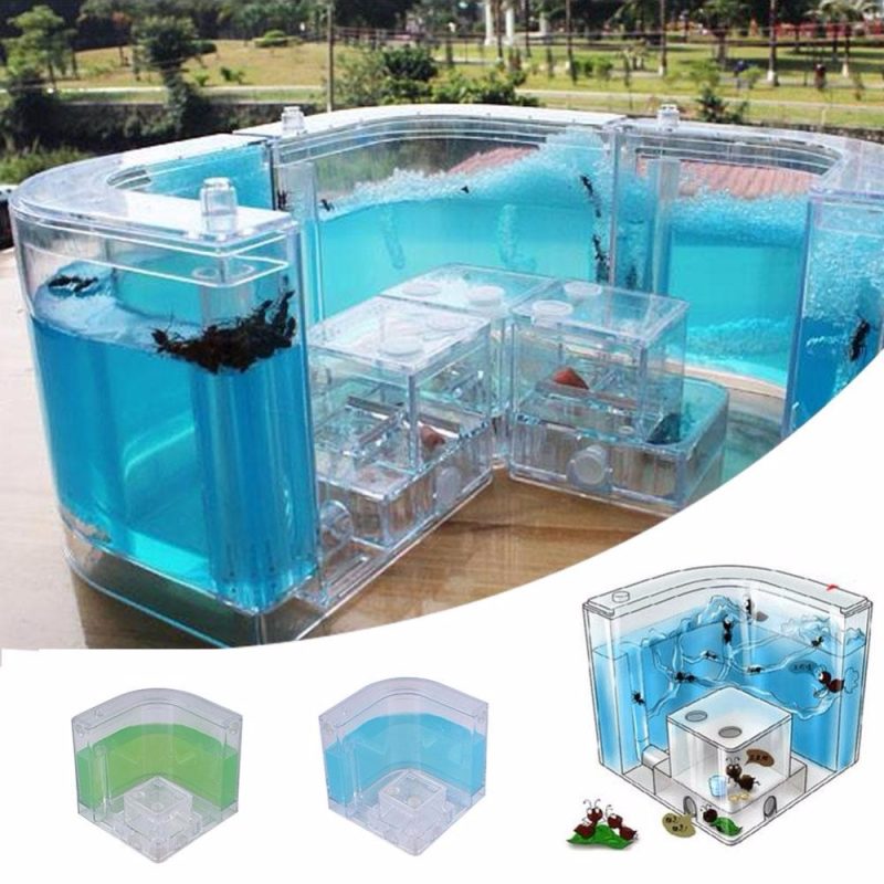 Ant Farms Gel Cage Box Kit - Image 5
