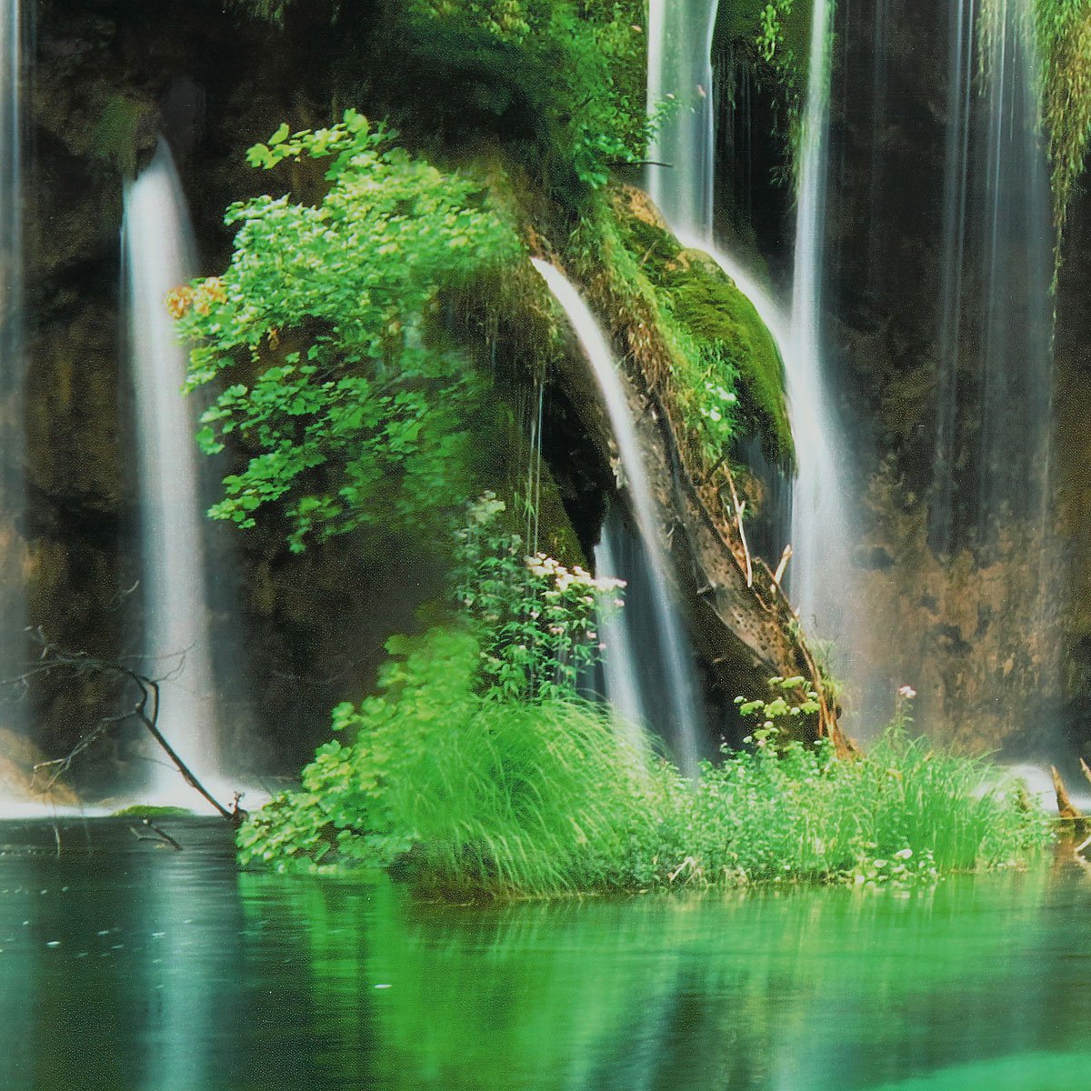 Aquarium Backgrounds Double-Sided Poster - Image 2