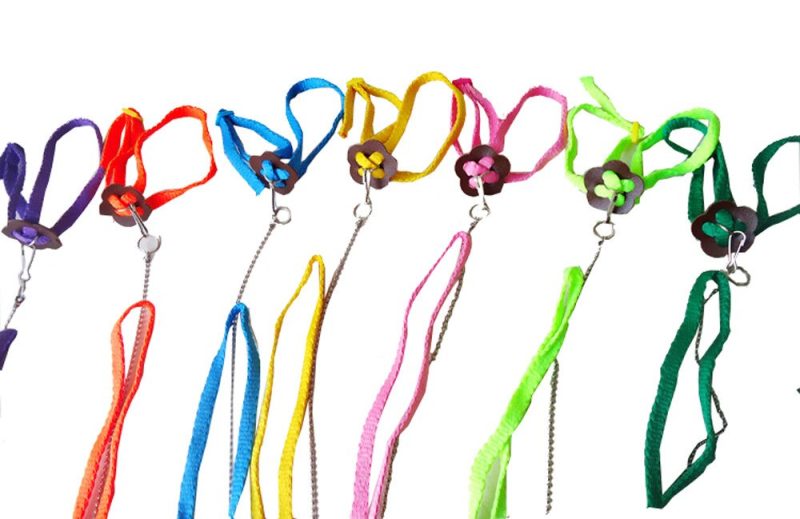 Bearded Dragon Harness Adjustable Leash - Image 5