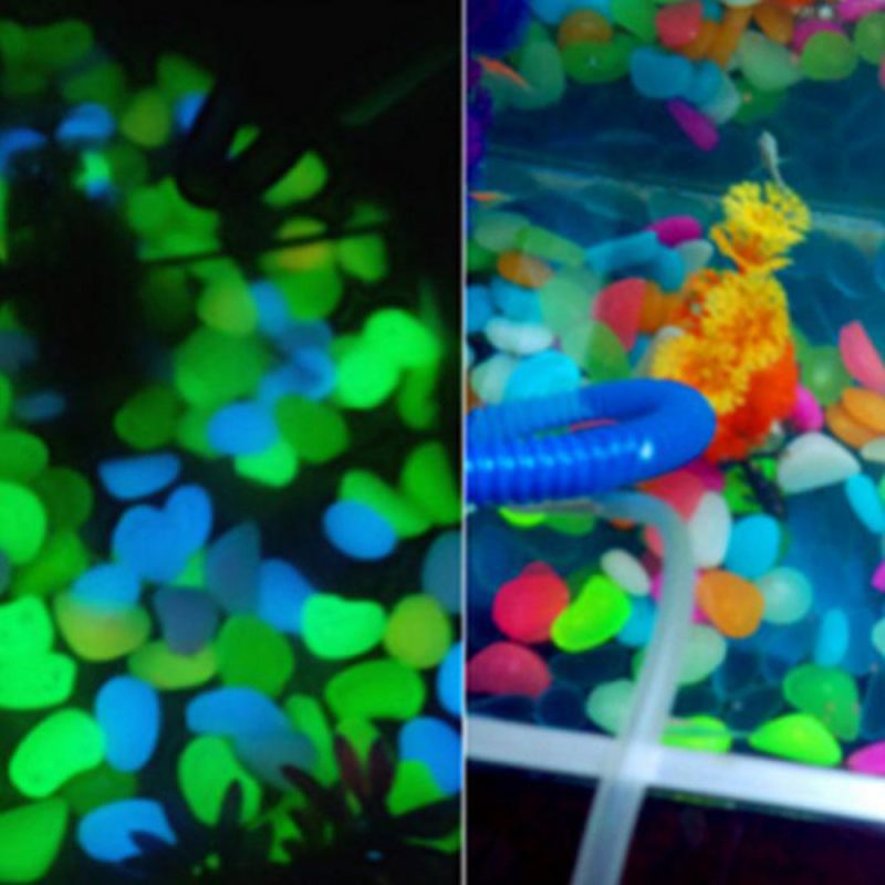 Garden Pebbles Glow in the Dark - Image 3