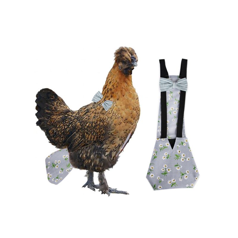 Chicken Diaper Adjustable Pet Clothing - Image 5