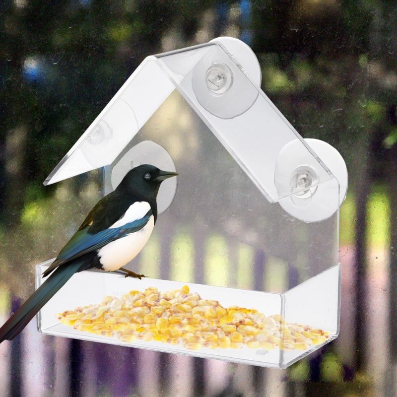 Bird Feeder Transparent Glass Sucker - Image 6