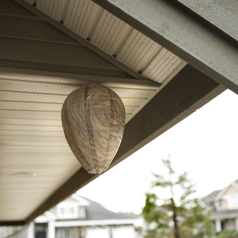 Fake Hornets Nest Hanging Deterrent - Image 2