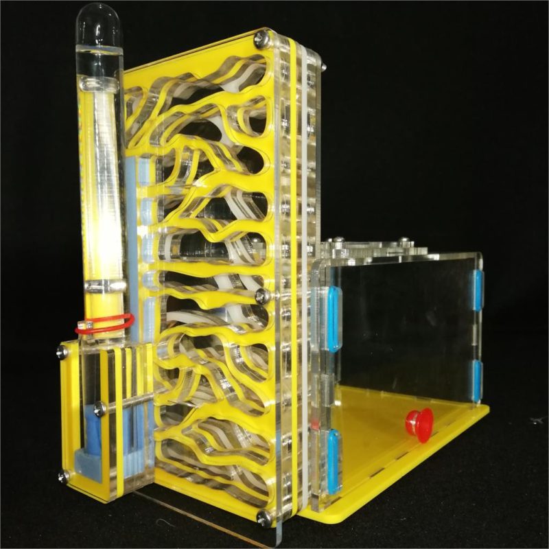 Ant Farm Nesting Box for Insects - Image 5