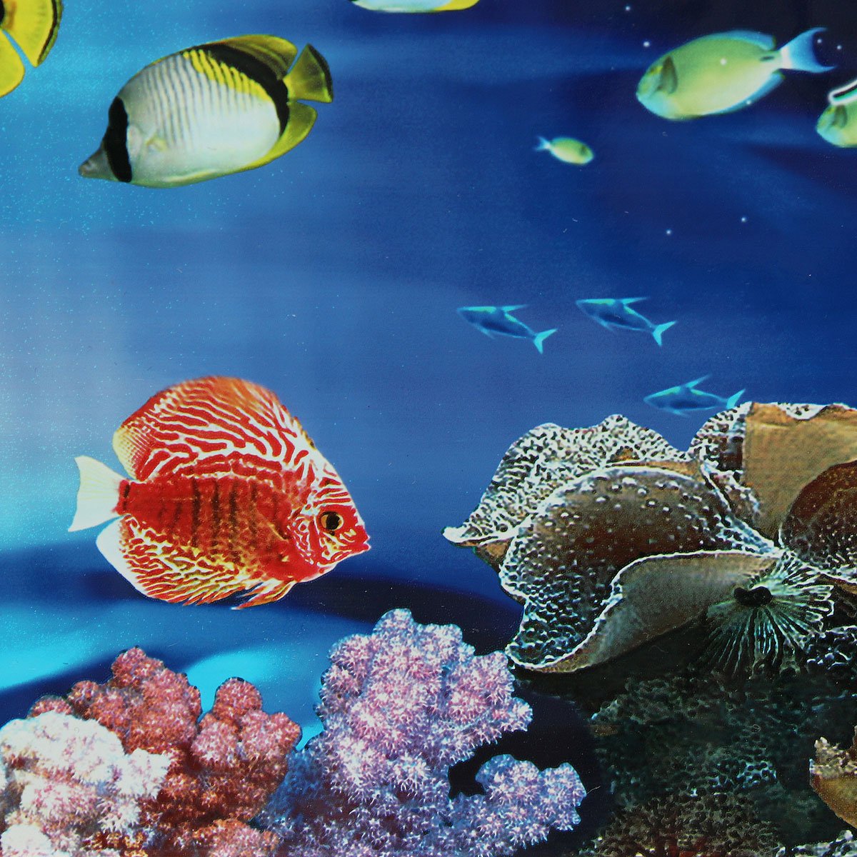 Aquarium Backgrounds Double-Sided Poster - Image 3