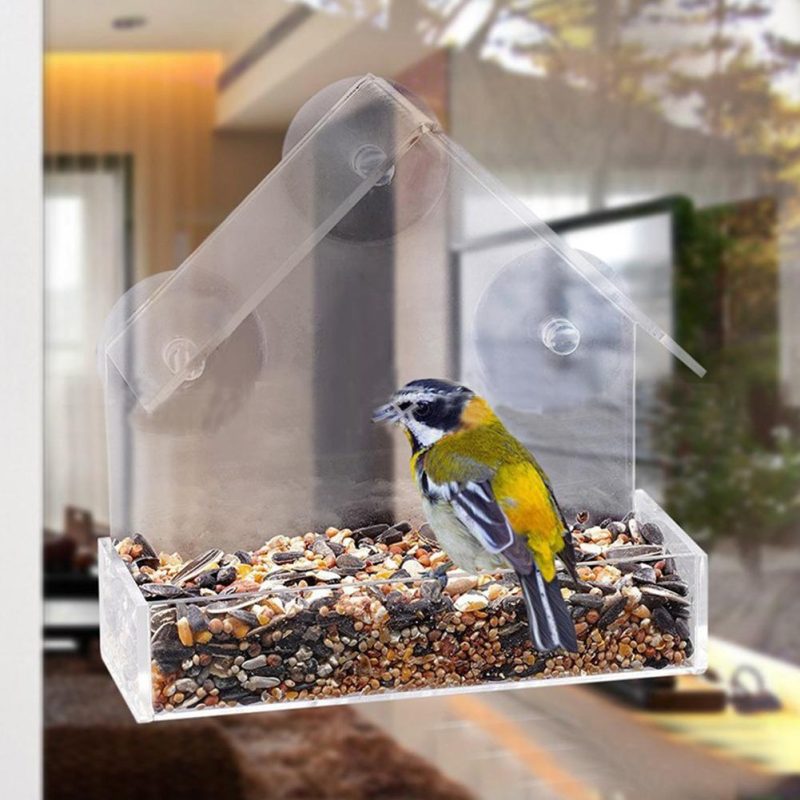 Bird Feeder Transparent Glass Sucker - Image 2