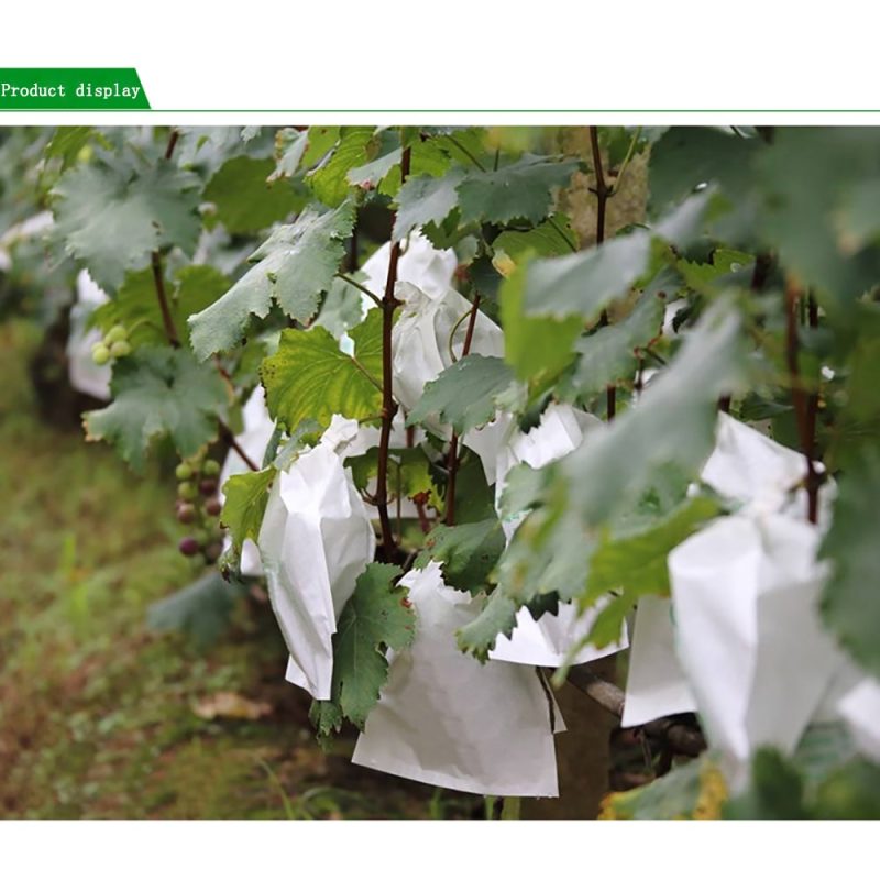 Fruit Protection Bags Fruit Protector (20 Pcs) - Image 2