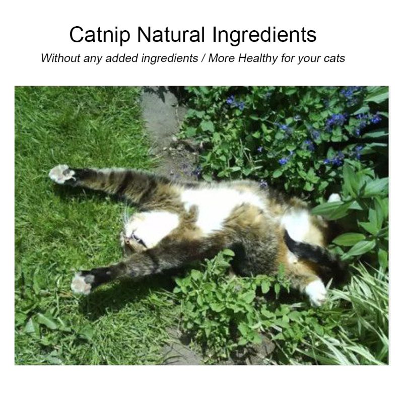 Cat Treat Healthy Catnip Balls - Image 2
