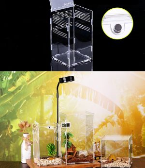 Acrylic Tarantula Enclosure Pet Box