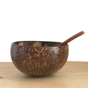 Coconut Shell Bowl Rustic Wood Craft