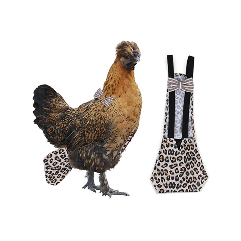 Chicken Diaper Adjustable Pet Clothing - Image 3