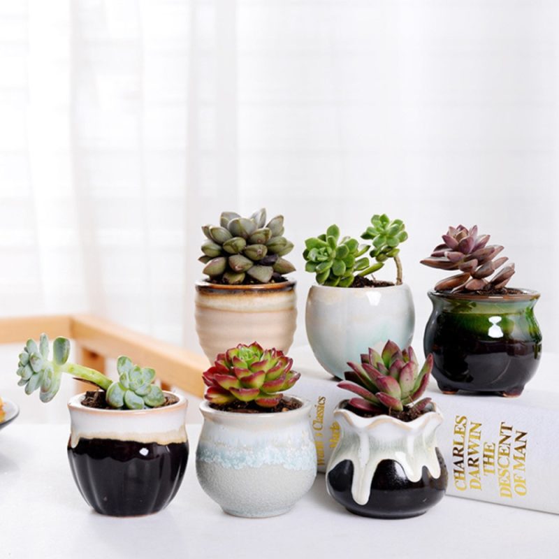 Ceramic Mini Plant Pots (6 Pcs) - Image 4
