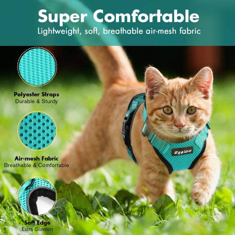 Cat Vest Harness And Leash Set - Image 4