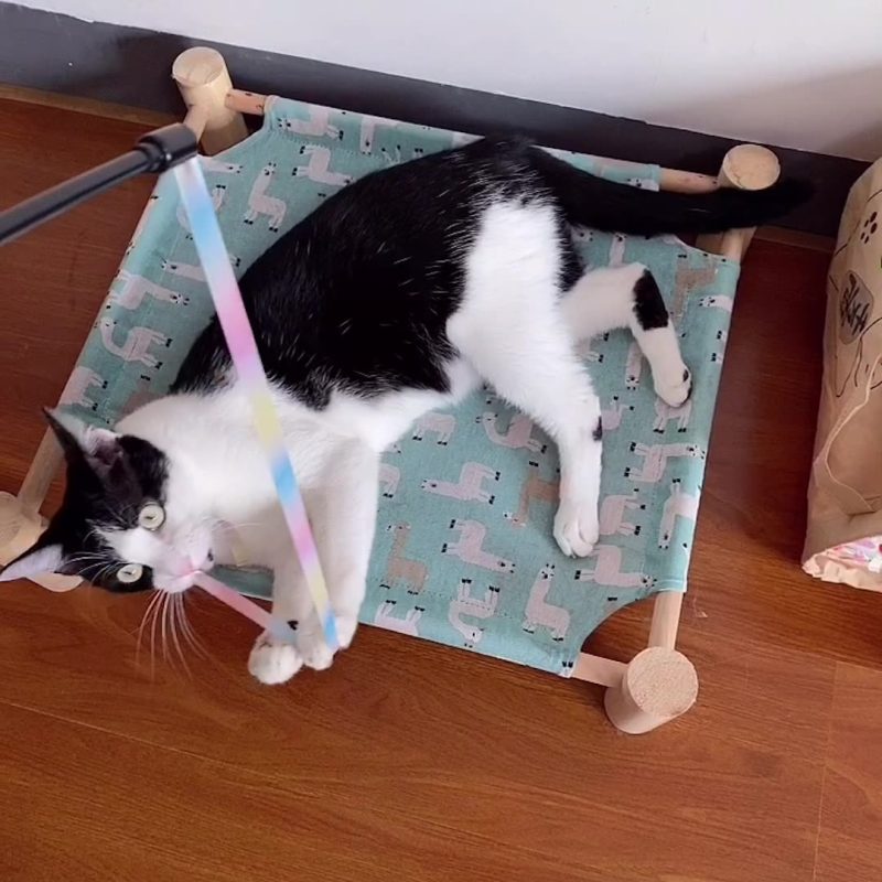 Gradient color ribbon cat teaser stick chew-resistant rope toy pet - Image 2
